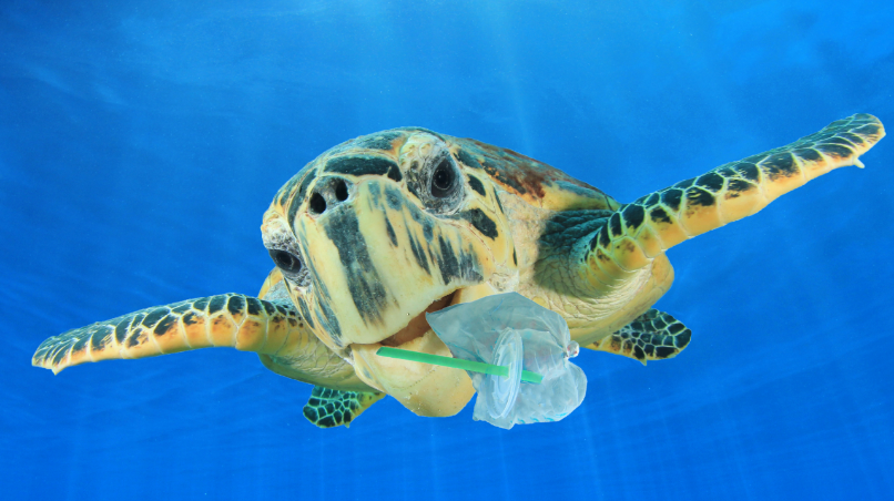 schildpad in een vervuilde zee