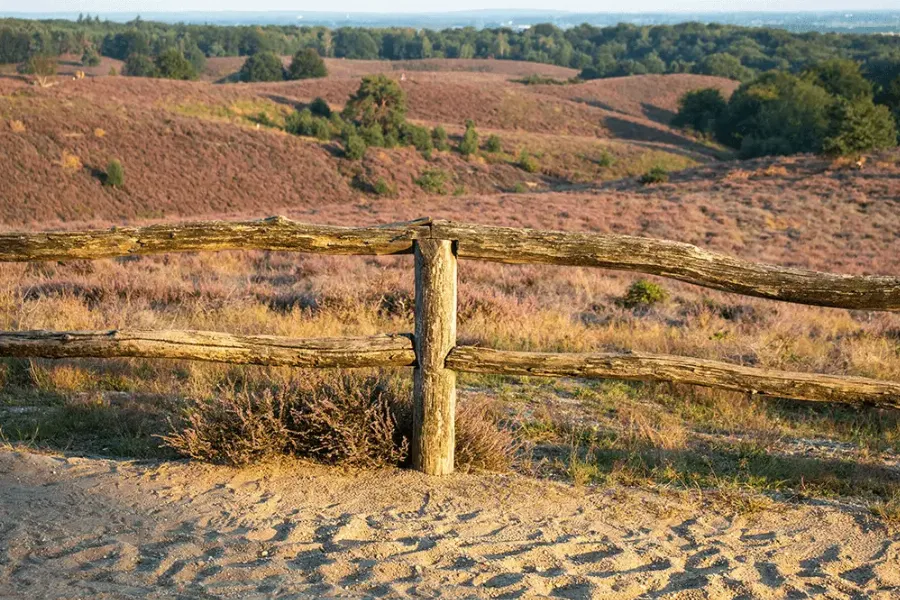 Cycling route in the Veluwe